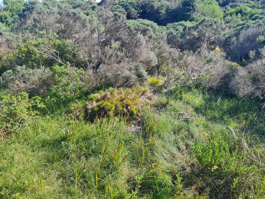 0 Bedroom Property for Sale in Paradise Beach Eastern Cape